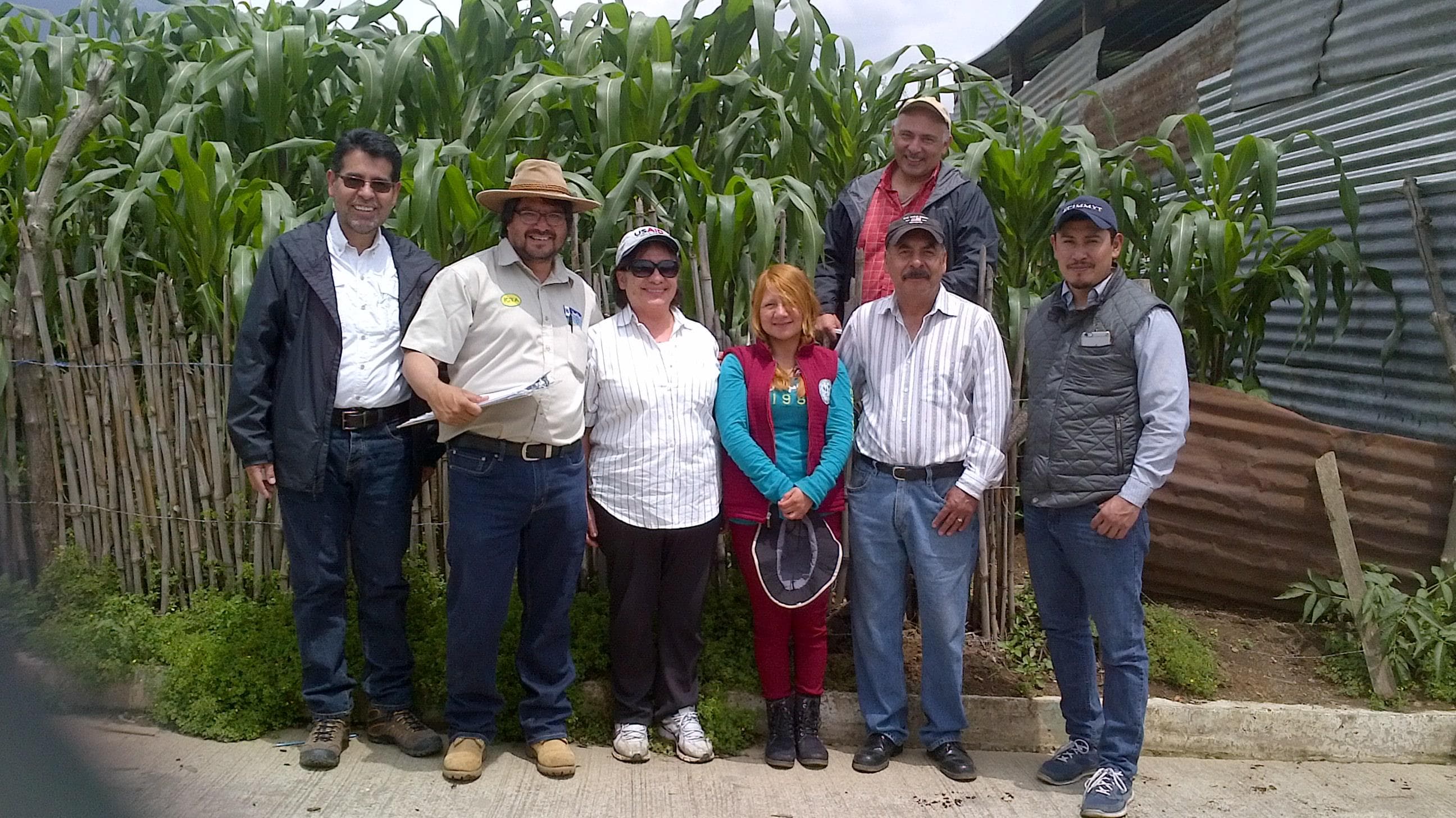 Representantes de USAID Guatemala visitaron cultivo de frijol voluble del ICTA